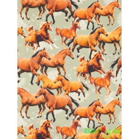 Jersey Stoff Pferde Digitaldruck