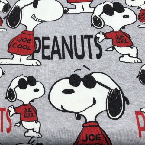 Peanuts Bio Jersey Stoff Snoopy Joe Cool hellgrau