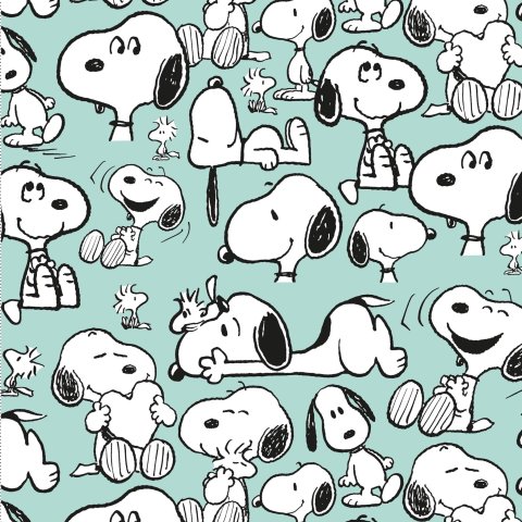 Peanuts Bio Jersey Stoff Snoopy Happiness auf mint