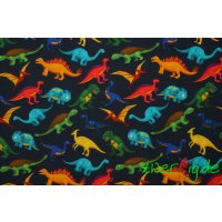 French Terry Stoff Sommersweat Digital Colourful Dino