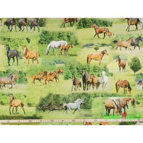 Baumwolle Stoff grün mit braunen Pferden Digitaldruck