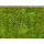 Baumwolle Stoff Batik grün Blätter Zweige