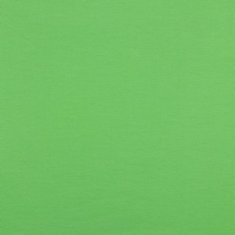 Baumwolle Jersey Stoff uni hellgrün
