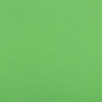 Baumwolle Jersey Stoff uni hellgrün