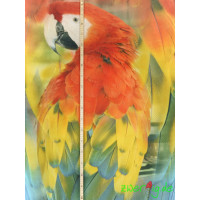 Stenzo Jersey Panel Papagei rot blau grün - 150cm lang